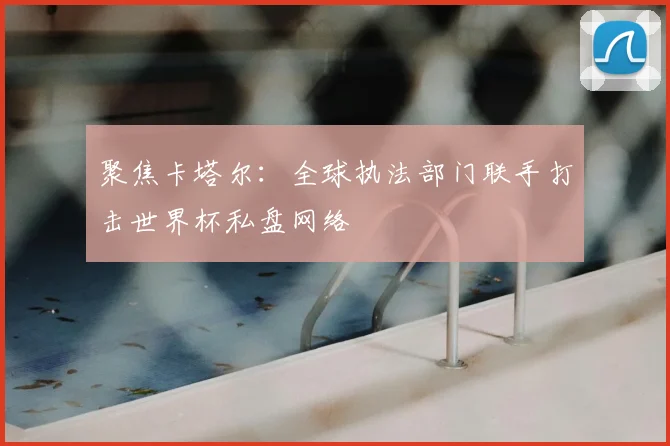 聚焦卡塔尔：全球执法部门联手打击世界杯私盘网络