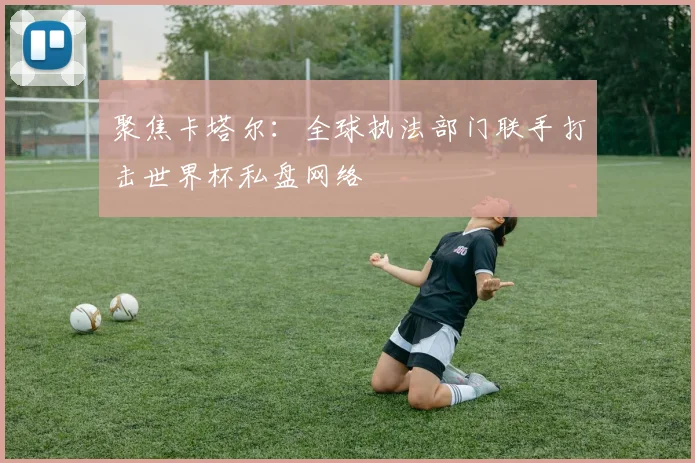 聚焦卡塔尔：全球执法部门联手打击世界杯私盘网络