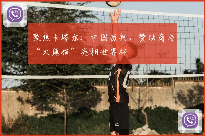 聚焦卡塔尔：中国裁判、赞助商与“大熊猫”亮相世界杯