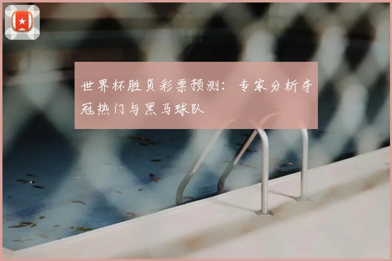 世界杯胜负彩票预测：专家分析夺冠热门与黑马球队