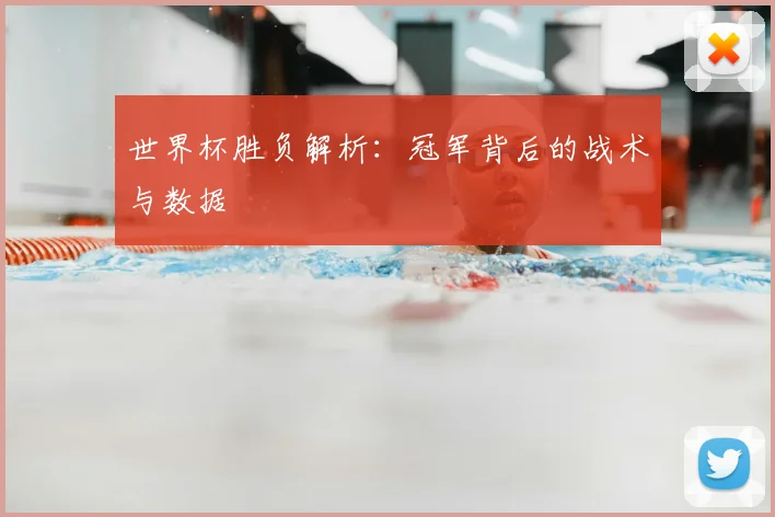世界杯胜负解析：冠军背后的战术与数据
