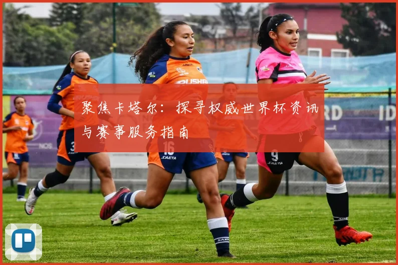 聚焦卡塔尔：探寻权威世界杯资讯与赛事服务指南