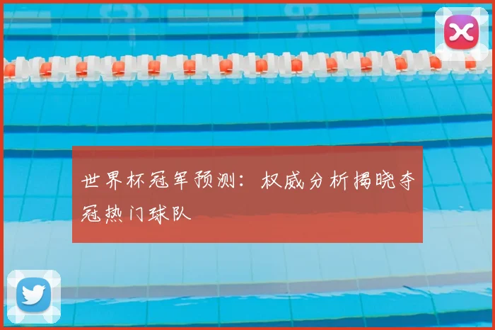 世界杯冠军预测:权威分析揭晓夺冠热门球队