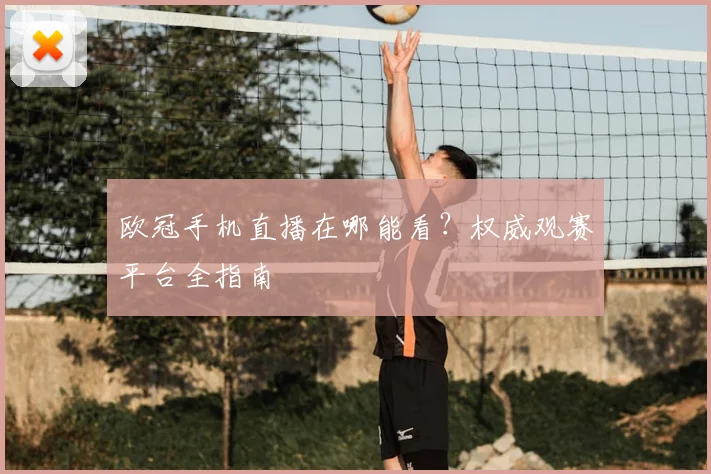 欧冠手机直播在哪能看？权威观赛平台全指南